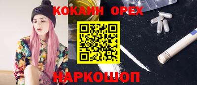 гидропоника Новокубанск
