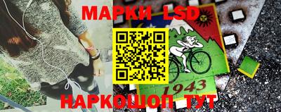 гидропоника Новокубанск