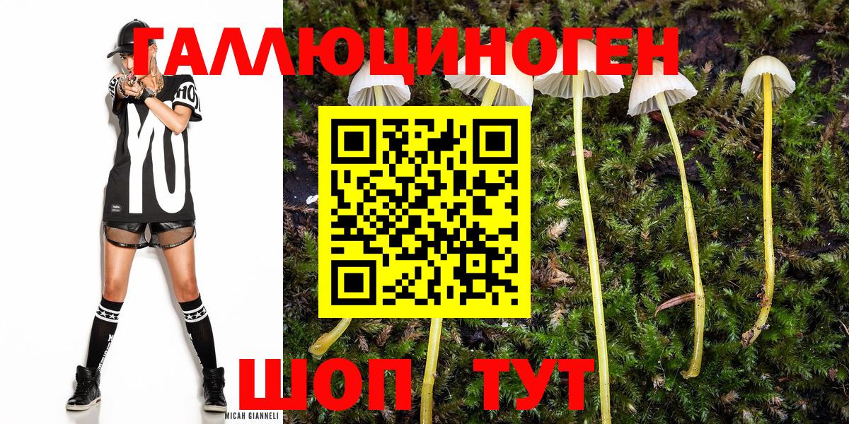 Галлюциногенные грибы ЛСД Советск